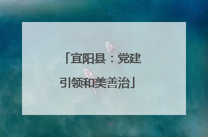 宜阳县：党建引领和美善治