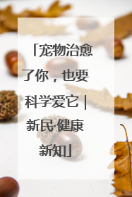 宠物治愈了你，也要科学爱它｜新民·健康新知