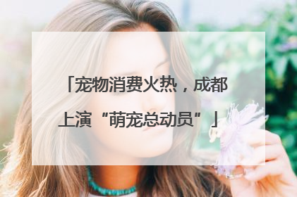 宠物消费火热，成都上演“萌宠总动员”