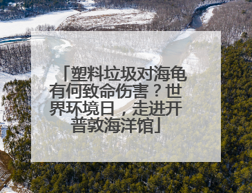 塑料垃圾对海龟有何致命伤害？世界环境日，走进开普敦海洋馆