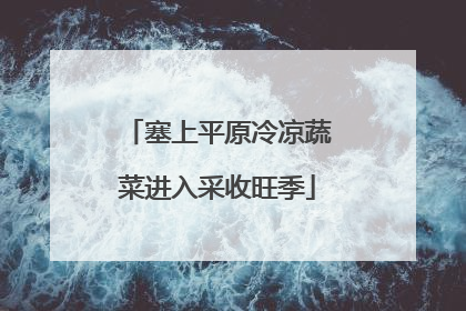 塞上平原冷凉蔬菜进入采收旺季