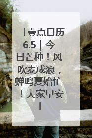壹点日历6.5｜今日芒种！风吹麦成浪，蝉鸣夏始忙！大家早安
