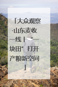 大众观察·山东麦收一线丨“一块田”打开产粮新空间