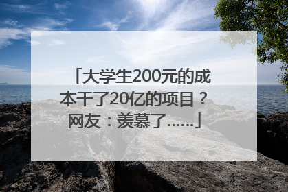 大学生200元的成本干了20亿的项目？网友：羡慕了……