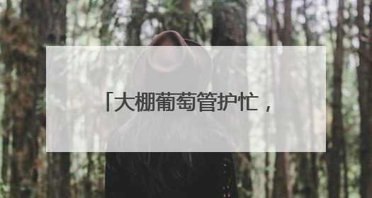 大棚葡萄管护忙，科学疏果助丰收