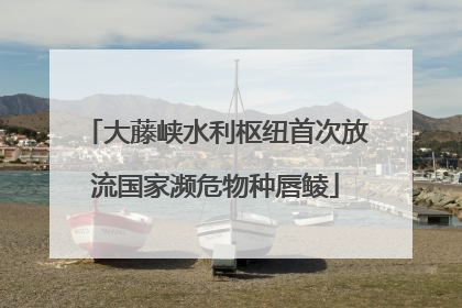 大藤峡水利枢纽首次放流国家濒危物种唇鲮