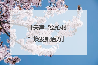 天津“空心村”焕发新活力