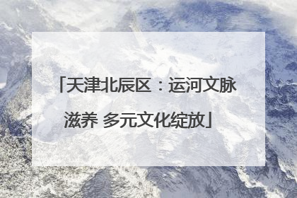 天津北辰区：运河文脉滋养 多元文化绽放