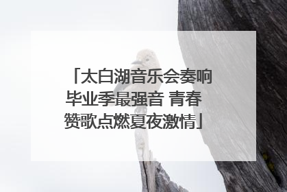 太白湖音乐会奏响毕业季最强音 青春赞歌点燃夏夜激情
