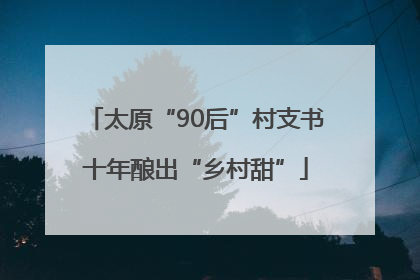 太原“90后”村支书十年酿出“乡村甜”