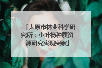 太原市林业科学研究所：小叶杨种质资源研究实现突破