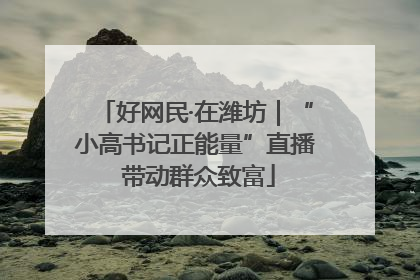 好网民·在潍坊｜“小高书记正能量”直播 带动群众致富