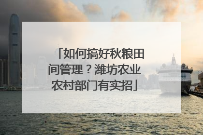 如何搞好秋粮田间管理？潍坊农业农村部门有实招