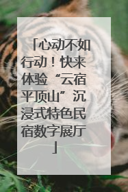 心动不如行动！快来体验“云宿平顶山”沉浸式特色民宿数字展厅