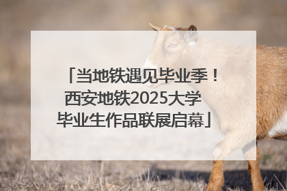 当地铁遇见毕业季！西安地铁2025大学毕业生作品联展启幕