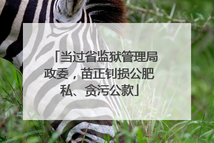 当过省监狱管理局政委，苗正钊损公肥私、贪污公款