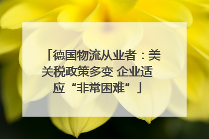 德国物流从业者：美关税政策多变 企业适应“非常困难”