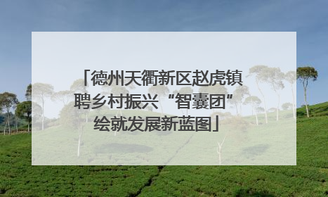 德州天衢新区赵虎镇聘乡村振兴“智囊团” 绘就发展新蓝图