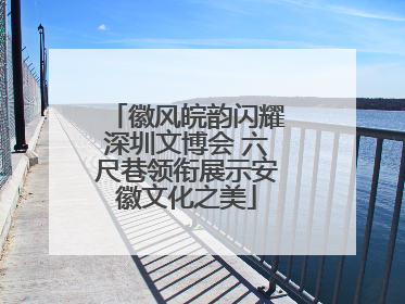 徽风皖韵闪耀深圳文博会 六尺巷领衔展示安徽文化之美
