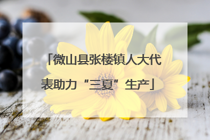 微山县张楼镇人大代表助力“三夏”生产