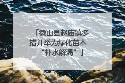 微山县赵庙镇多措并举为绿化苗木“补水解渴”