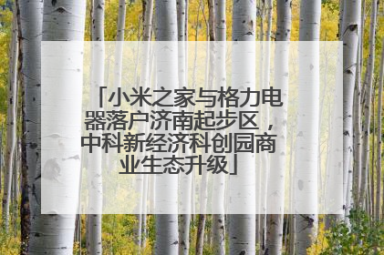 小米之家与格力电器落户济南起步区，中科新经济科创园商业生态升级