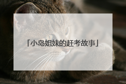 小岛姐妹的赶考故事
