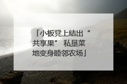 小板凳上结出“共享果” 私垦菜地变身睦邻农场