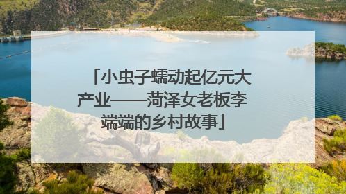 小虫子蠕动起亿元大产业——菏泽女老板李端端的乡村故事
