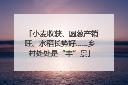 小麦收获、圆葱产销旺、水稻长势好……乡村处处是“丰”景