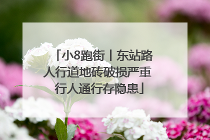小8跑街丨东站路人行道地砖破损严重 行人通行存隐患
