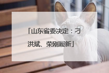 山东省委决定：刁洪斌、荣刚履新