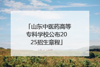 山东中医药高等专科学校公布2025招生章程