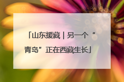 山东援藏｜另一个“青岛”正在西藏生长