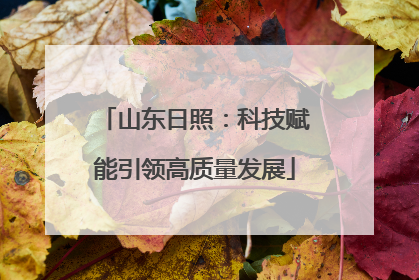 山东日照：科技赋能引领高质量发展