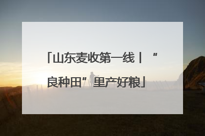 山东麦收第一线丨“良种田”里产好粮