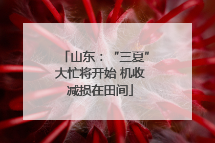 山东：“三夏”大忙将开始 机收减损在田间