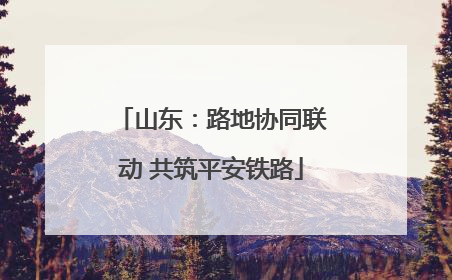 山东：路地协同联动 共筑平安铁路