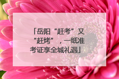 岳阳“赶考”又“赶烤”，一纸准考证享全城礼遇