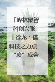 峰林聚智 科创兴张丨徐龙：借科技之力点“废”成金