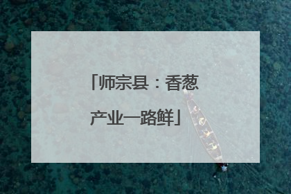 师宗县：香葱产业一路鲜