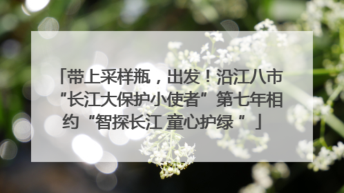 带上采样瓶，出发！沿江八市“长江大保护小使者”第七年相约“智探长江 童心护绿 ”