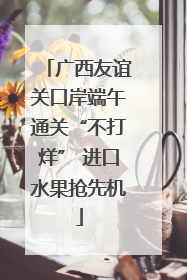 广西友谊关口岸端午通关“不打烊” 进口水果抢先机
