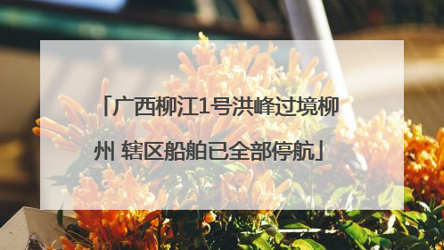 广西柳江1号洪峰过境柳州 辖区船舶已全部停航