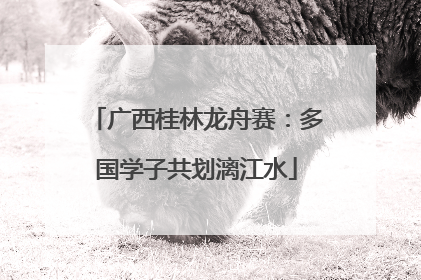 广西桂林龙舟赛：多国学子共划漓江水