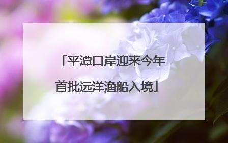 平潭口岸迎来今年首批远洋渔船入境