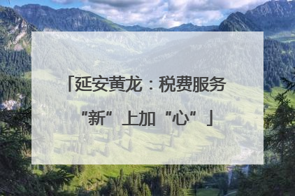 延安黄龙：税费服务“新”上加“心”