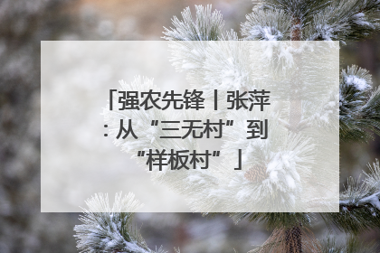 强农先锋丨张萍：从“三无村”到“样板村”