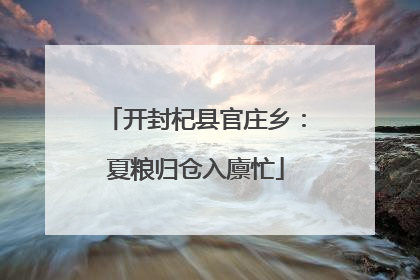 开封杞县官庄乡：夏粮归仓入廪忙