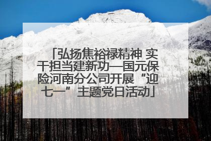 弘扬焦裕禄精神 实干担当建新功—国元保险河南分公司开展“迎七一”主题党日活动